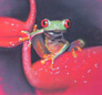 Treefrog