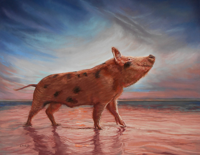 This little Piggy went Paddling